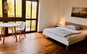 Modernes Studio im Herzen von Neustadt: PfalzLiebe